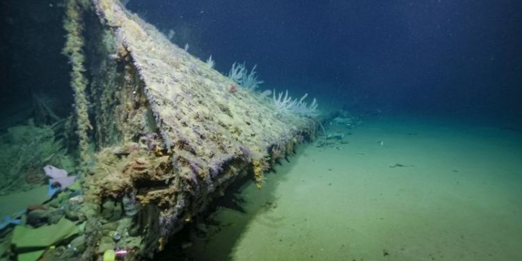 A torpedoed US Navy ship escaped the Pacific in reverse, using coconut logs. Its sunken bow has just been found