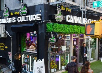 ALEX BERENSON: Trump’s marijuana order pushes a dangerous lie about drugs